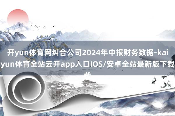 开yun体育网纠合公司2024年中报财务数据-kaiyun体育全站云开app入口IOS/安卓全站最新版下载