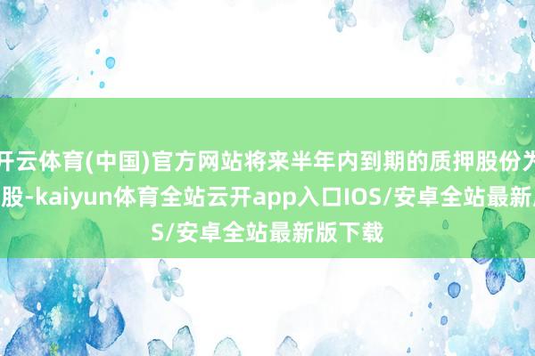 开云体育(中国)官方网站将来半年内到期的质押股份为450万股-kaiyun体育全站云开app入口IOS/安卓全站最新版下载