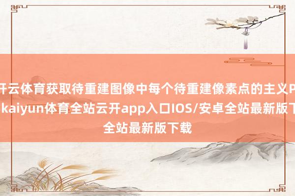 开云体育获取待重建图像中每个待重建像素点的主义PI线-kaiyun体育全站云开app入口IOS/安卓全站最新版下载