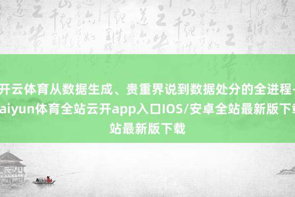 开云体育从数据生成、贵重界说到数据处分的全进程-kaiyun体育全站云开app入口IOS/安卓全站最新版下载