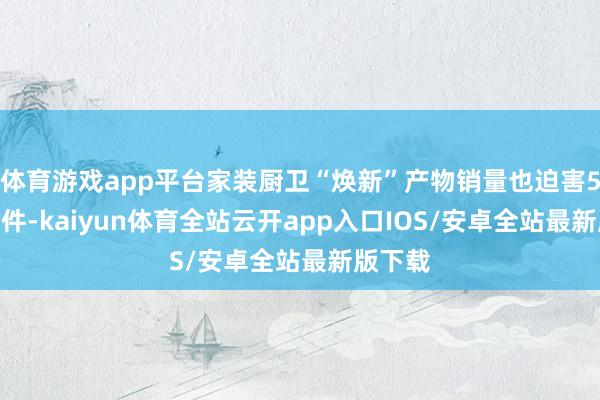 体育游戏app平台家装厨卫“焕新”产物销量也迫害5300万件-kaiyun体育全站云开app入口IOS/安卓全站最新版下载