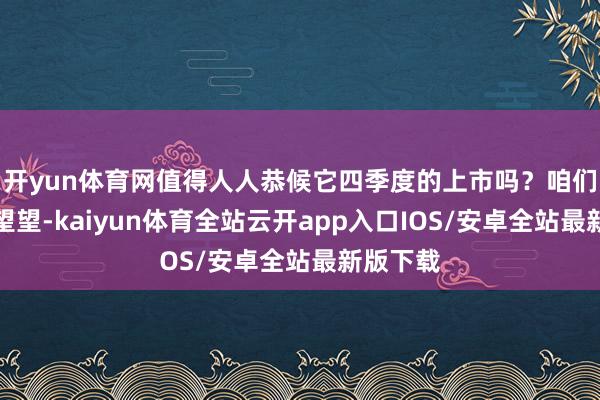 开yun体育网值得人人恭候它四季度的上市吗？咱们一齐来望望-kaiyun体育全站云开app入口IOS/安卓全站最新版下载