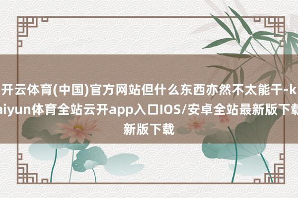 开云体育(中国)官方网站但什么东西亦然不太能干-kaiyun体育全站云开app入口IOS/安卓全站最新版下载
