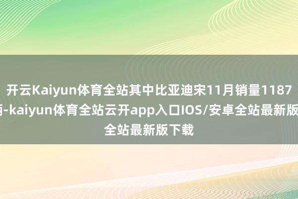 开云Kaiyun体育全站其中比亚迪宋11月销量118743辆-kaiyun体育全站云开app入口IOS/安卓全站最新版下载