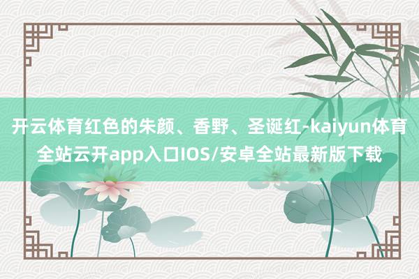 开云体育红色的朱颜、香野、圣诞红-kaiyun体育全站云开app入口IOS/安卓全站最新版下载