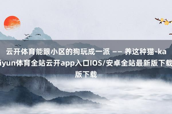 云开体育能跟小区的狗玩成一派 —— 养这种猫-kaiyun体育全站云开app入口IOS/安卓全站最新版下载