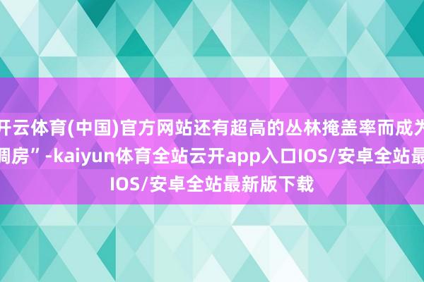 开云体育(中国)官方网站还有超高的丛林掩盖率而成为“自然空调房”-kaiyun体育全站云开app入口IOS/安卓全站最新版下载