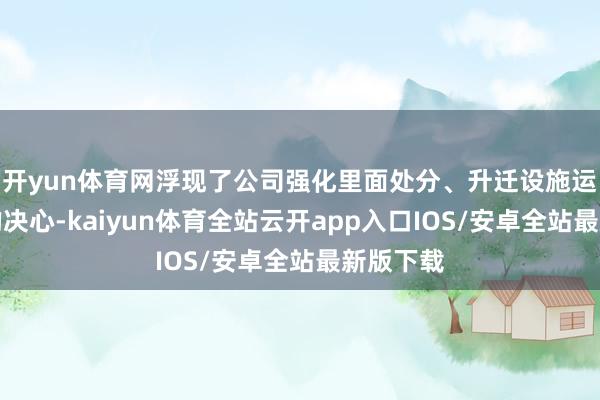 开yun体育网浮现了公司强化里面处分、升迁设施运作水平的决心-kaiyun体育全站云开app入口IOS/安卓全站最新版下载