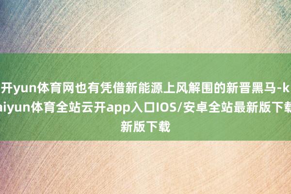 开yun体育网也有凭借新能源上风解围的新晋黑马-kaiyun体育全站云开app入口IOS/安卓全站最新版下载